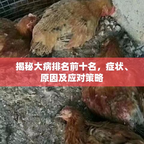 揭秘大病排名前十名,癥狀、原因及應對策略
