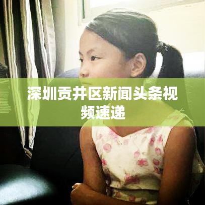 深圳貢井區新聞頭條視頻速遞