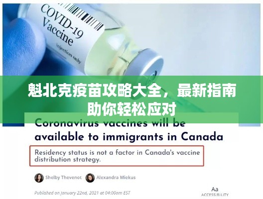 魁北克疫苗攻略大全,最新指南助你輕松應對