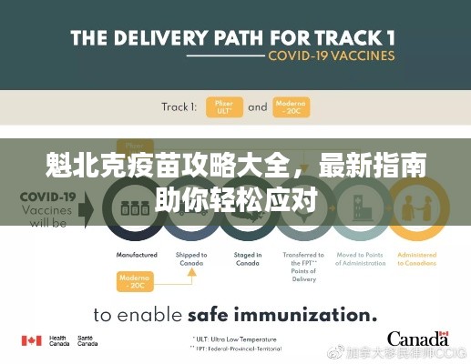 魁北克疫苗攻略大全,最新指南助你輕松應對