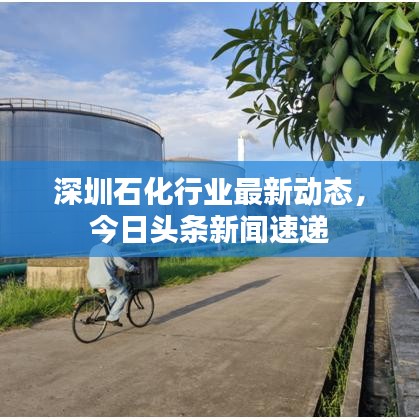 深圳石化行業最新動態,今日頭條新聞速遞