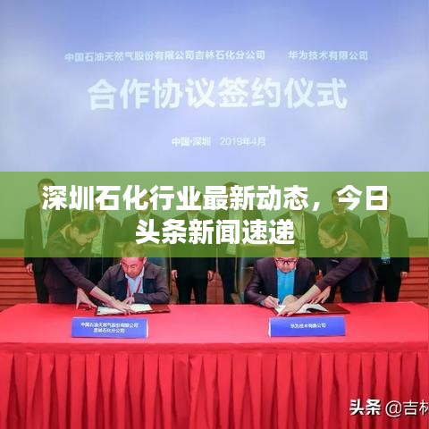 深圳石化行業最新動態,今日頭條新聞速遞