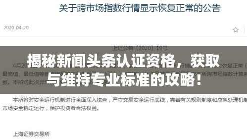 揭秘新聞頭條認證資格,獲取與維持專業標準的攻略!