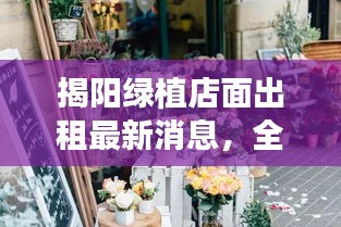 揭陽綠植店面出租最新消息,全面更新,一睹即知