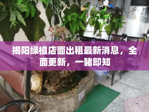 揭陽綠植店面出租最新消息,全面更新,一睹即知
