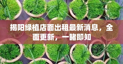 揭陽綠植店面出租最新消息,全面更新,一睹即知