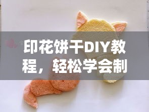 印花餅干DIY教程,輕松學(xué)會制作美味創(chuàng)意餅干——百度經(jīng)驗分享