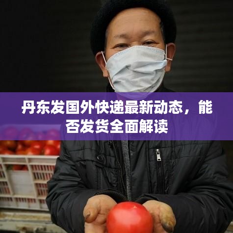 丹東發(fā)國外快遞最新動態(tài),能否發(fā)貨全面解讀