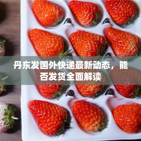丹東發國外快遞最新動態,能否發貨全面解讀