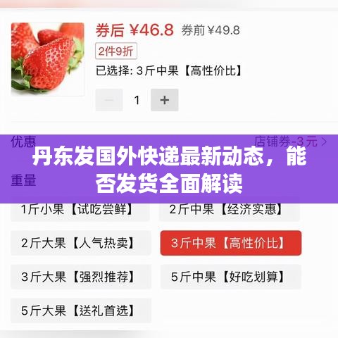 丹東發國外快遞最新動態,能否發貨全面解讀