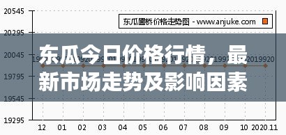 東瓜今日價(jià)格行情,最新市場走勢及影響因素深度解析