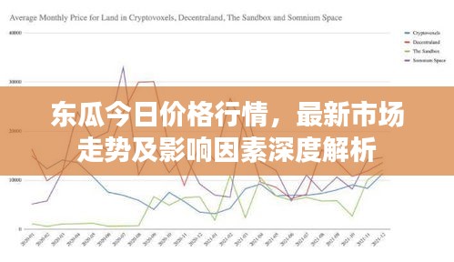 東瓜今日價格行情,最新市場走勢及影響因素深度解析