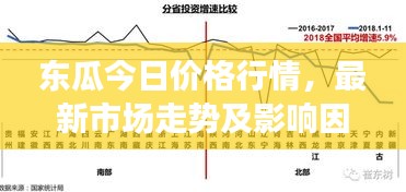 東瓜今日價格行情,最新市場走勢及影響因素深度解析