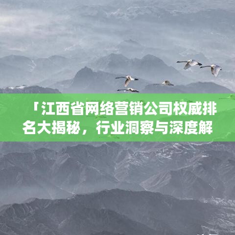 「江西省網絡營銷公司權威排名大揭秘,行業洞察與深度解析」