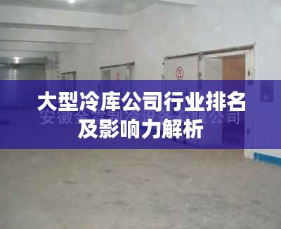 大型冷庫公司行業排名及影響力解析
