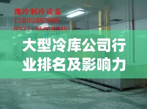 大型冷庫公司行業排名及影響力解析