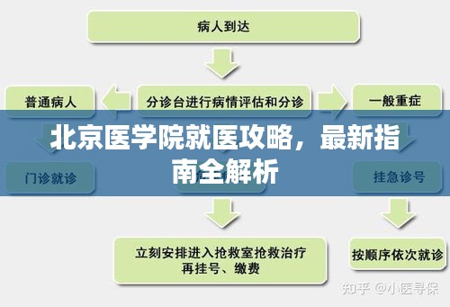 北京醫(yī)學(xué)院就醫(yī)攻略,最新指南全解析