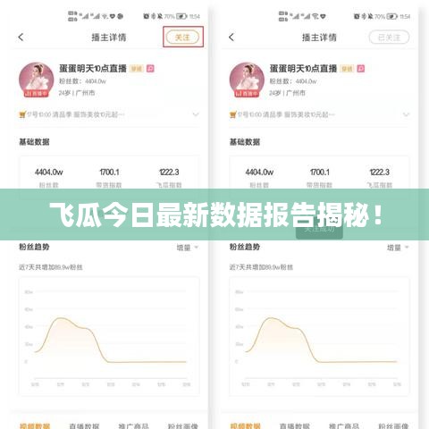 飛瓜今日最新數據報告揭秘!