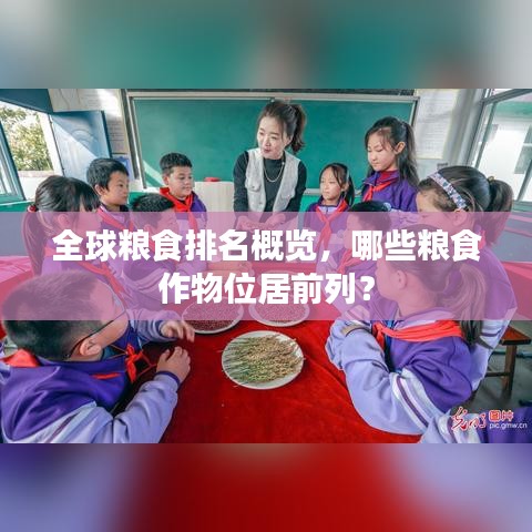 全球糧食排名概覽,哪些糧食作物位居前列?