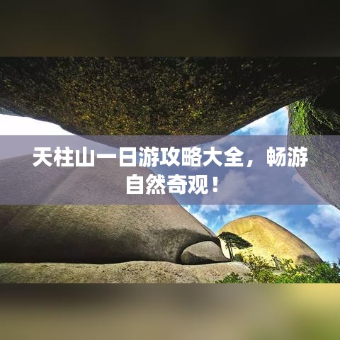 羅含夢鳥 第3頁