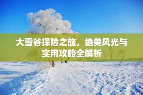 大雪谷探險之旅,絕美風光與實用攻略全解析