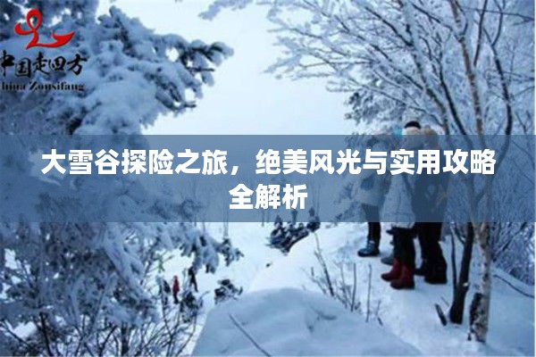 大雪谷探險(xiǎn)之旅,絕美風(fēng)光與實(shí)用攻略全解析