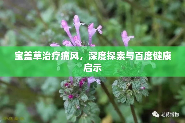 寶蓋草治療痛風,深度探索與百度健康啟示