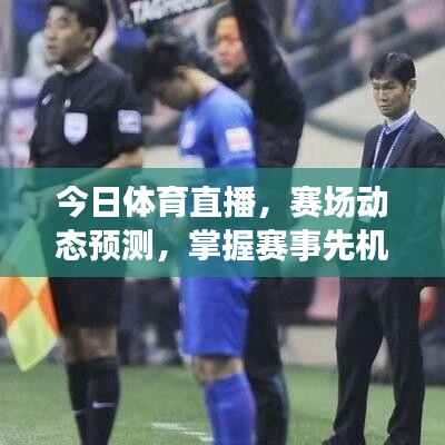 今日體育直播,賽場動態預測,掌握賽事先機最新消息