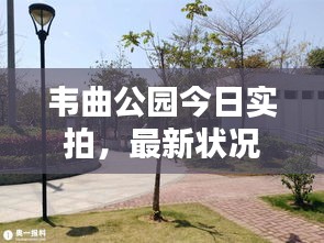 韋曲公園今日實(shí)拍，最新?tīng)顩r全解析