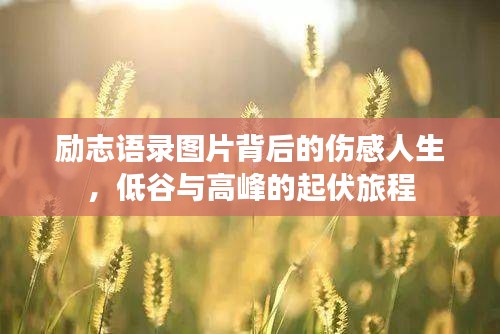 勵志語錄圖片背后的傷感人生,低谷與高峰的起伏旅程