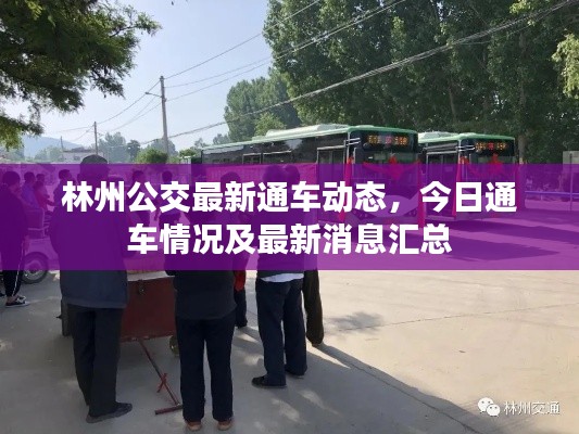 林州公交最新通車動態,今日通車情況及最新消息匯總