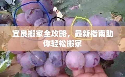 宜良搬家全攻略,最新指南助你輕松搬家