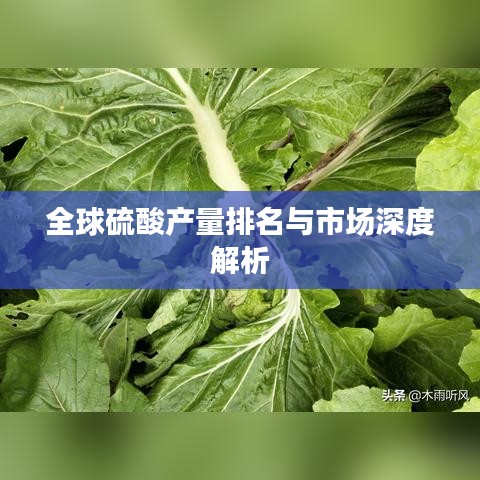 全球硫酸產(chǎn)量排名與市場深度解析