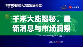 千禾大漲揭秘，最新消息與市場洞察深度解讀