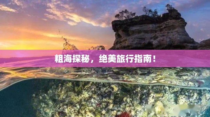 粗海探秘,絕美旅行指南!