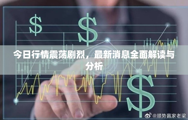今日行情震蕩劇烈,最新消息全面解讀與分析