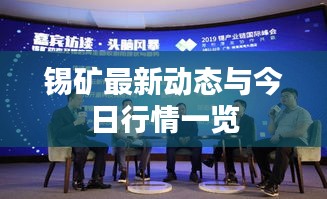 錫礦最新動態與今日行情一覽