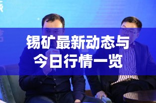 錫礦最新動態(tài)與今日行情一覽