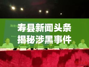 壽縣新聞頭條揭秘涉黑事件真相