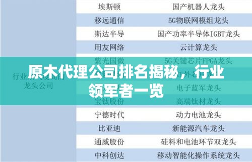 原木代理公司排名揭秘,行業(yè)領(lǐng)軍者一覽