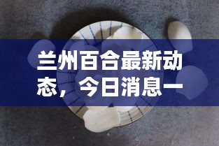 蘭州百合最新動態(tài),今日消息一網(wǎng)打盡!