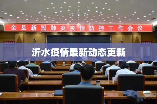 沂水疫情最新動(dòng)態(tài)更新