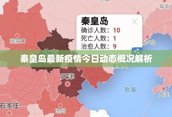秦皇島最新疫情今日動態概況解析