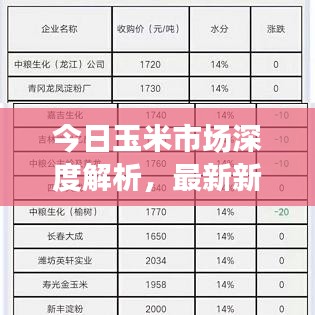 今日玉米市場深度解析,最新新聞、市場動態與趨勢展望