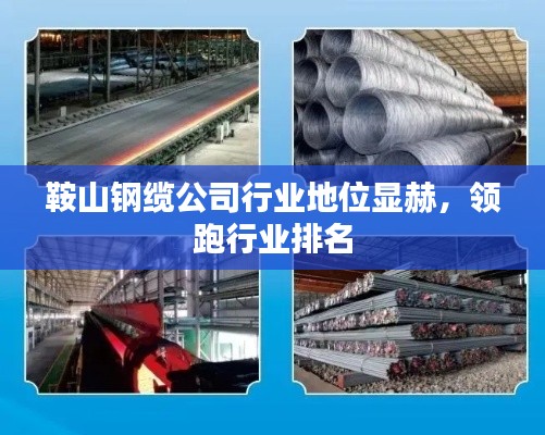 鞍山鋼纜公司行業(yè)地位顯赫,領跑行業(yè)排名