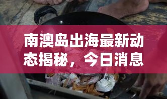 南澳島出海最新動態揭秘,今日消息一網打盡!