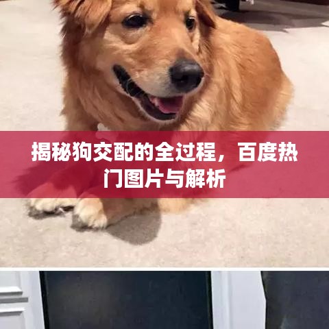 小家碧玉 第3頁