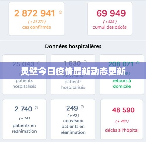 靈壁今日疫情最新動態更新