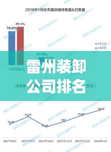 雷州裝卸公司排名揭秘,行業分析與深度解讀