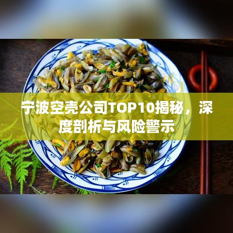 寧波空殼公司TOP10揭秘，深度剖析與風險警示